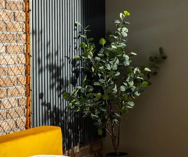 Brooklyn - Aviatiei Park - Netflix - Parking