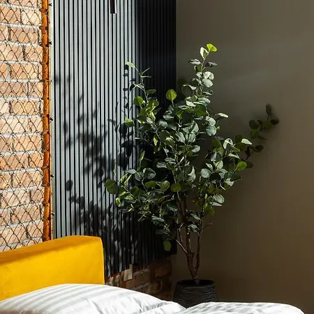 Brooklyn - Aviatiei Park - Netflix - Parking